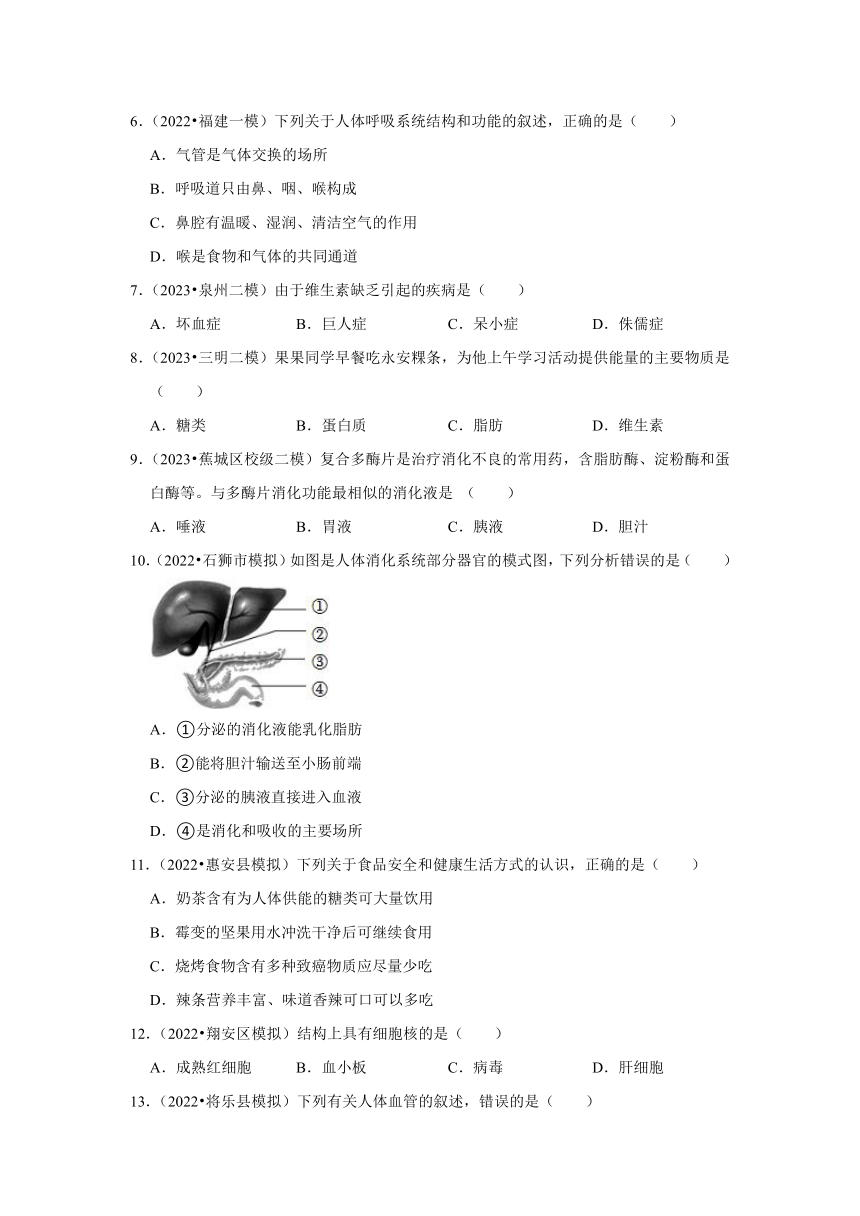 中考专题训练——5人体消化、循环、泌尿系统——2023年福建省中考生物（含解析）