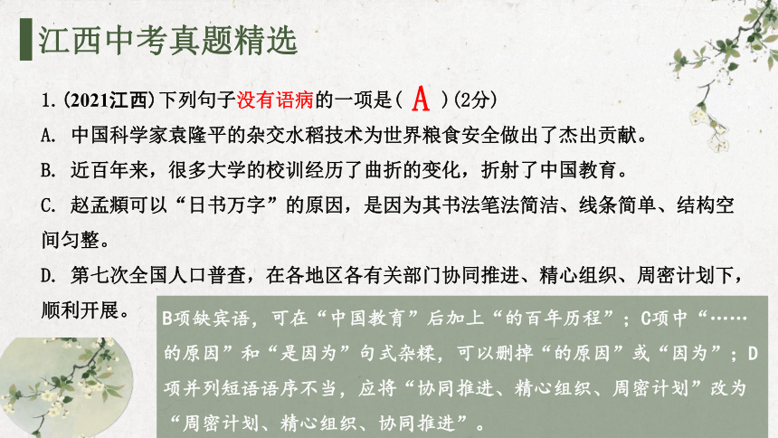 2023年江西省中考语文复习之病句辨析及修改课件（共29页）