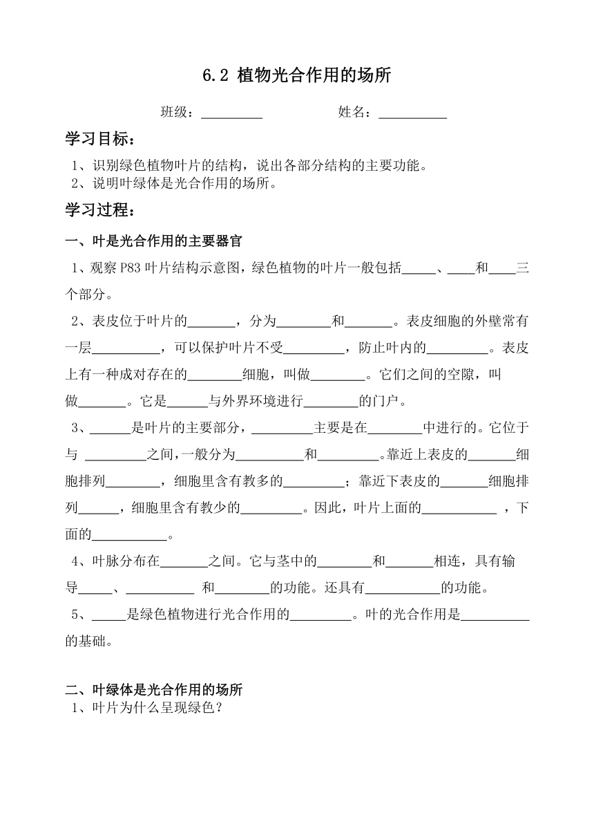 苏教版生物七年级上册6.2 植物光合作用的场所导学案（无答案）