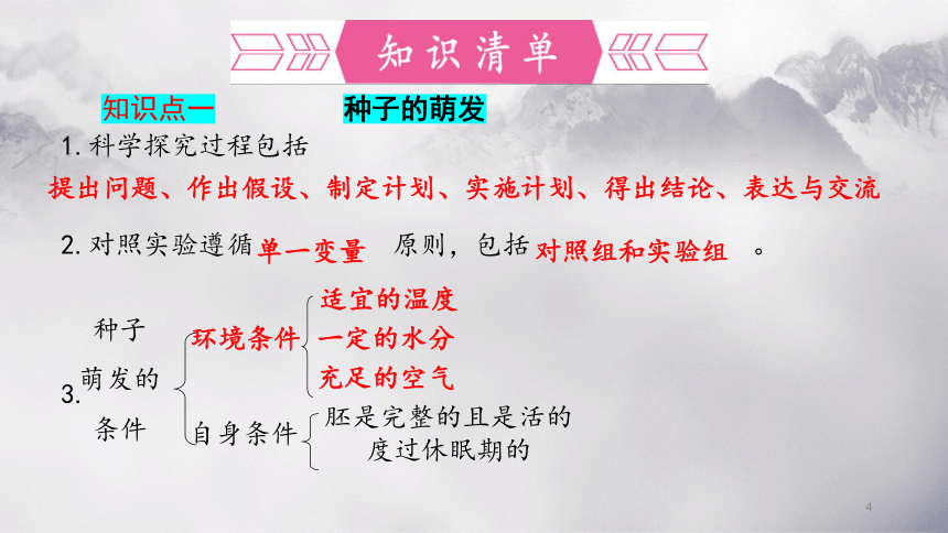 第三单元 第二章 被子植物的一生-【复习旧知】2022-2023学年七年级生物上册复习课件（人教版）(共50张PPT)