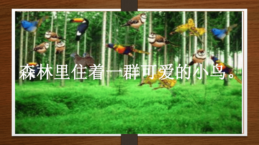 沪教版 一年级上册美术 第5课 有小鸟的树｜课件（35张PPT）