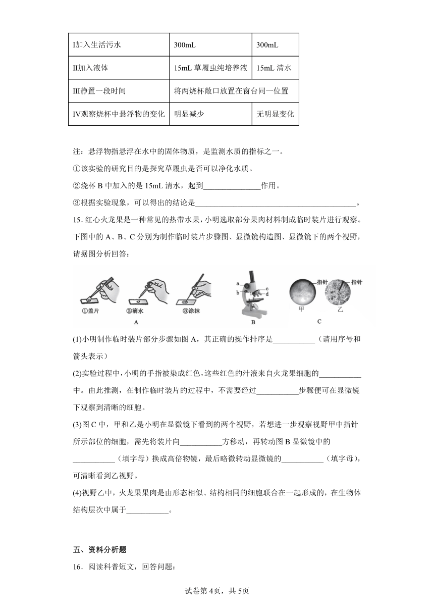 第9章 生物体有相似的结构层次 同步练习 （含答案）苏科版七年级生物下册