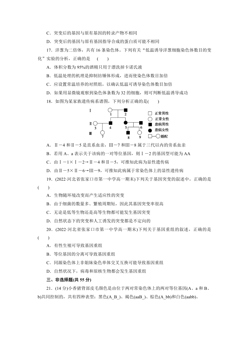 人教版生物必修2第五章 基因突变及其他变异 章末检测（原卷版+解析版）