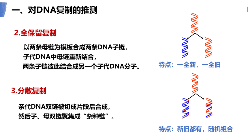 第三章第三节 DNA复制(共27张PPT1个视频)
