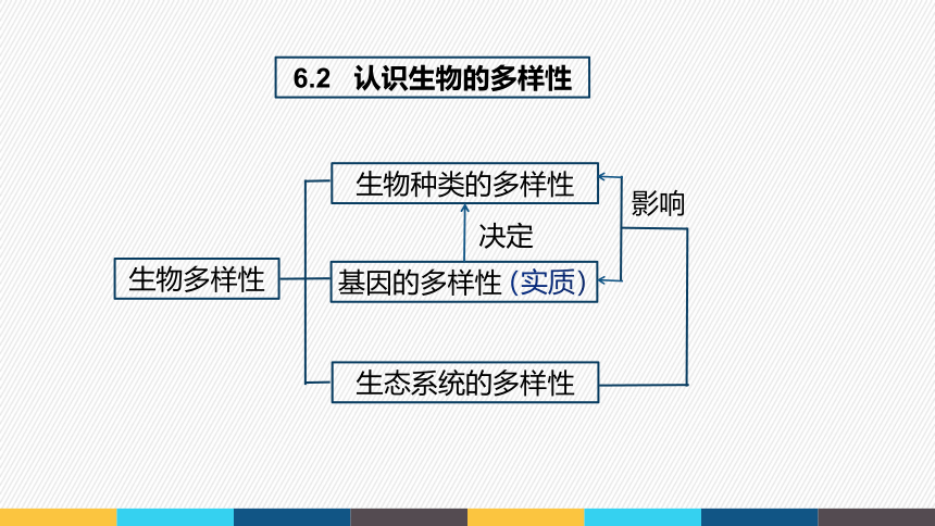 2021-2022学年人教版生物学八年级上册6.3   保护生物的多样性  课件(共16张PPT)