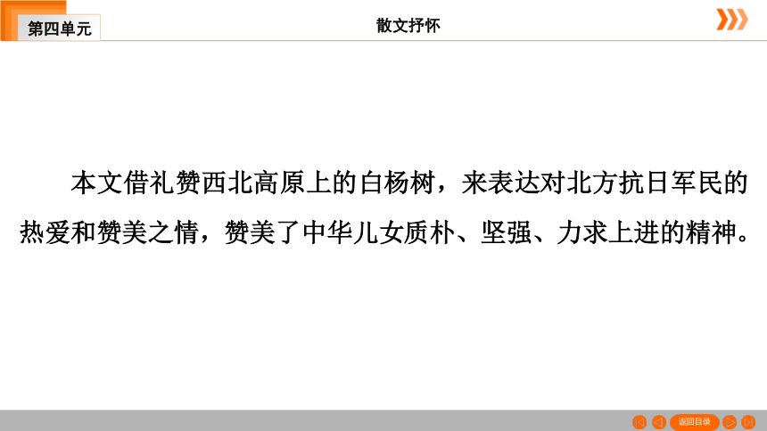 15 白杨礼赞习题课件（共49张幻灯片）