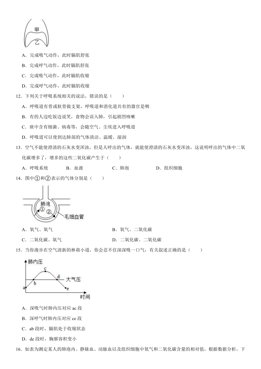 2021-2022学年山东省烟台市招远市七年级（上）期末生物试卷（五四学制）（word版含解析）