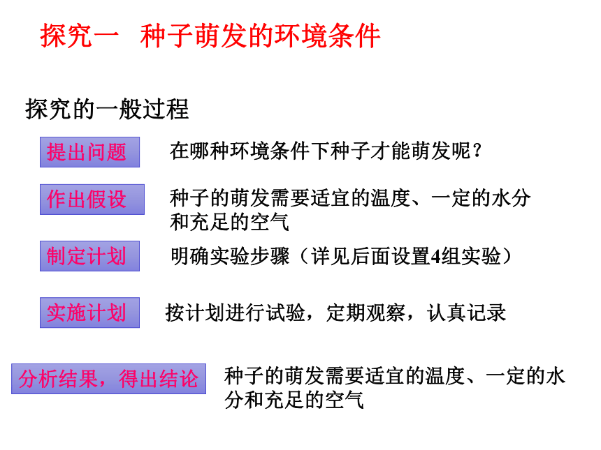 3.2.1种子的萌发课件(共22张PPT)2022--2023学年人教版生物七年级上册