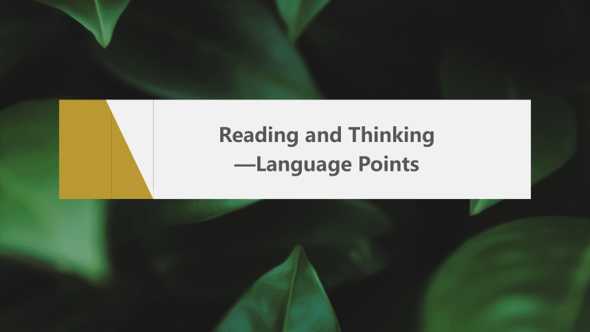 Unit 3 Period 2　Reading and Thinking—Language Points课件（共35张PPT）人教版（2019）选择性必修第三册