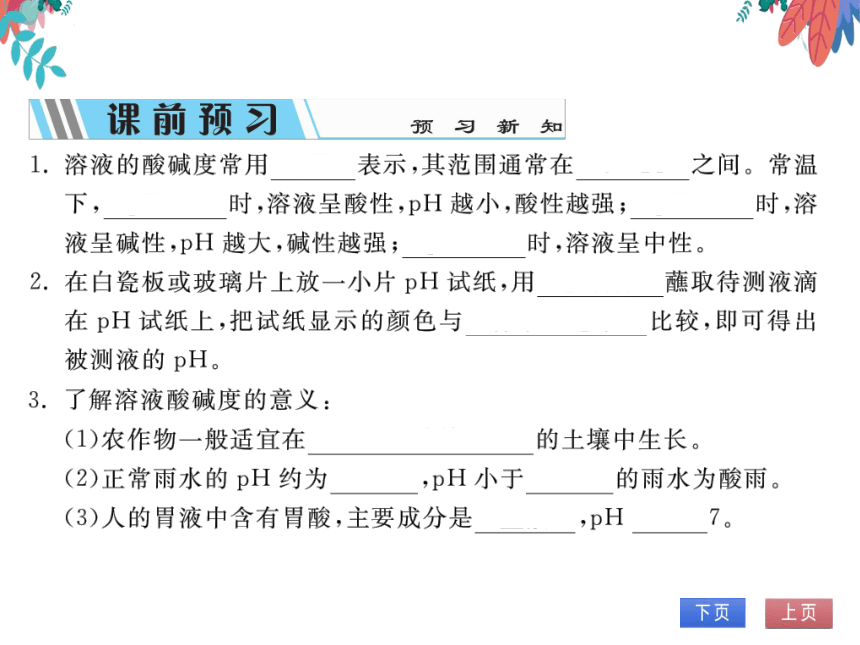 【人教版】化学九年级下册-第十单元 课题2 第2课时 溶液酸碱度的表示法——pH (习题课件)