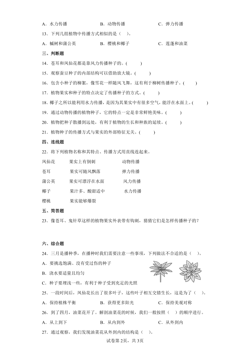 教科版（2017秋）四年级下册科学1.7.种子的传播练习题（含答案）