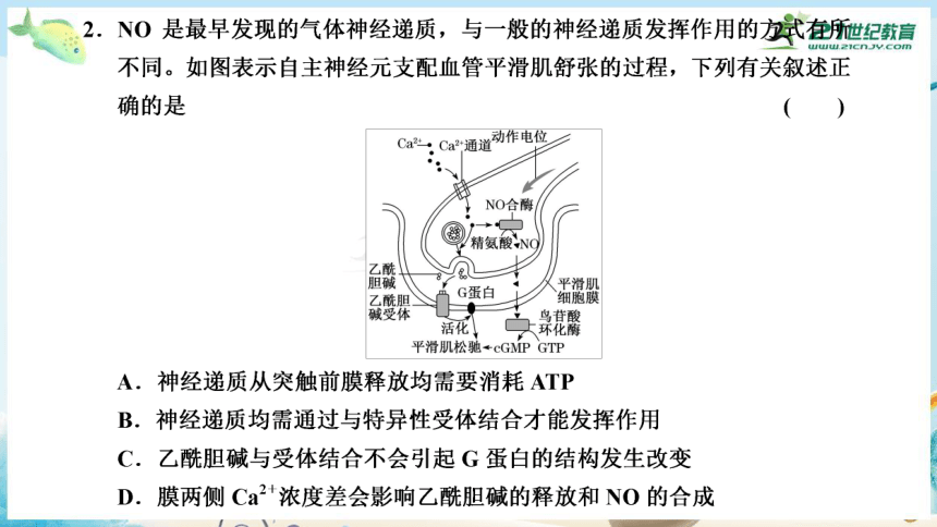 高三生物三轮复习专项突破9  神经调节和体液调节（共29张PPT）