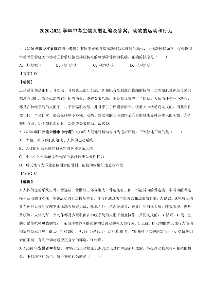 2020_2021学年中考生物真题汇编动物的运动和行为（PDF版含解析）