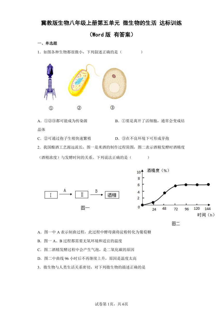 冀教版生物八年级上册第五单元 微生物的生活 达标训练（Word版 有答案）