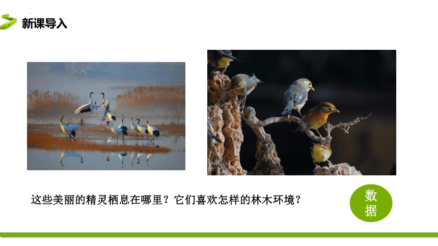 第一单元 项目一 第1课时 采集鸟类活动的数据 课件(共16张PPT)沪科版（2019）高中信息技术必修1