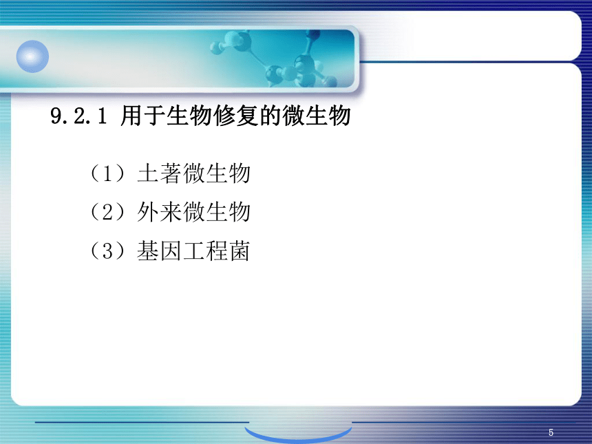 9.污染环境微生物修复的生物化学原理 课件(共44张PPT)- 《环境生物化学》同步教学（机工版·2020）