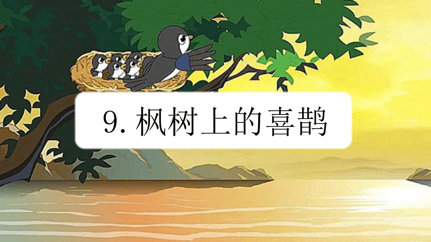 9 枫树上的喜鹊 （课件）(共19张PPT)