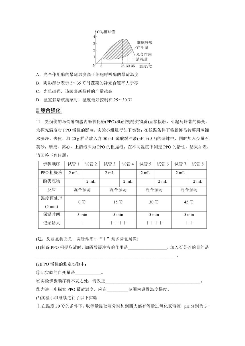 2022-2023学年苏教版2019高中生物必修1 第三章　细胞中能量的转换和利用  重点突破练(三)（word版含解析）