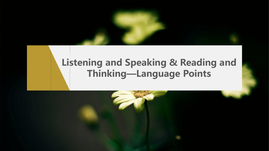 Unit 1Listening and Speaking & Reading and Thinking—Language Points（共45张PPT)人教版（2019） 必修第三册