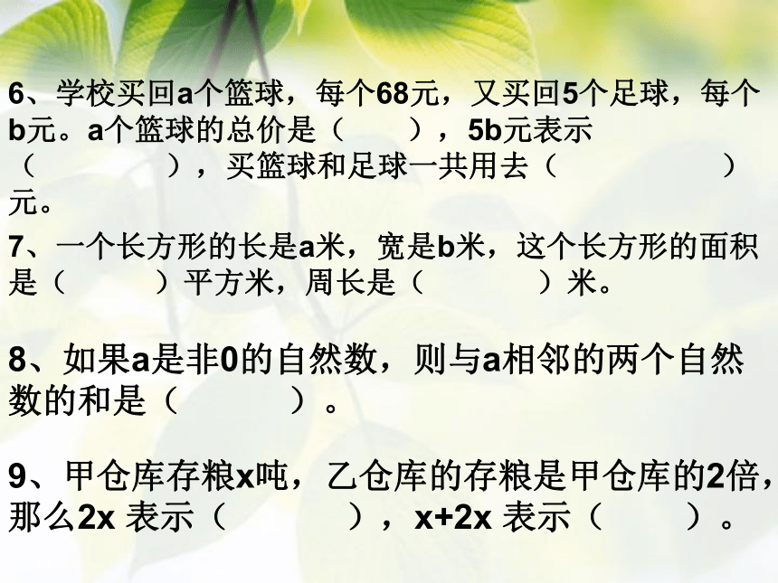 式与方程复习（课件）六年级下册数学人教版(共41张PPT)