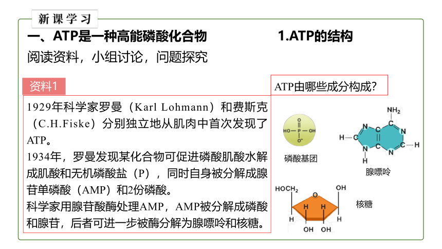 2021-2022学年高一上学期生物人教版（2019）必修一5.2细胞的能量“货币”ATP 课件 （26张ppt）