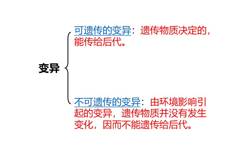 7.2.5 生物的变异课件（共31张PPT）