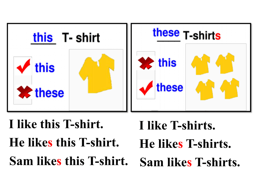Module 4 Unit 1 Sam likes T-shirts. 课件(共19张PPT)