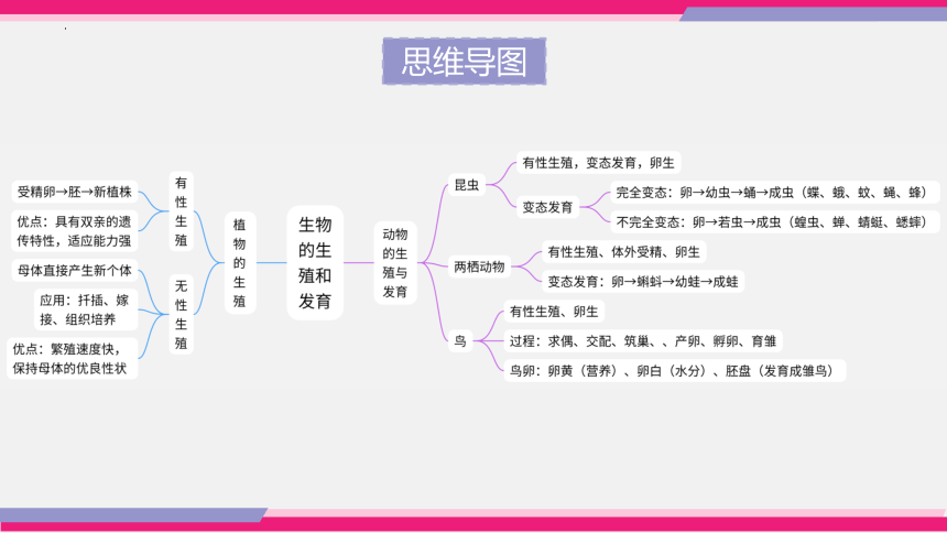 专题19 生物的生殖和发育课件(共24张PPT)-2023年中考生物一轮复习