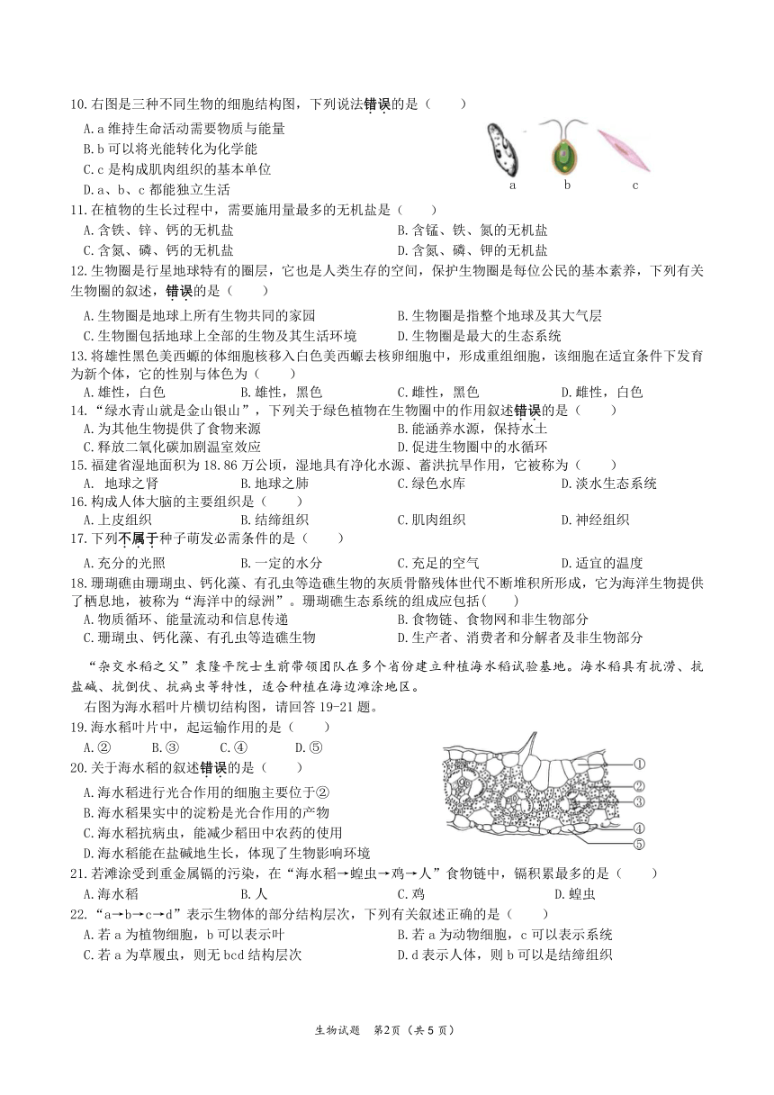 福建省厦门市海沧区2022-2023学年七年级上学期期末适应性练习生物试题（pdf版不含答案）