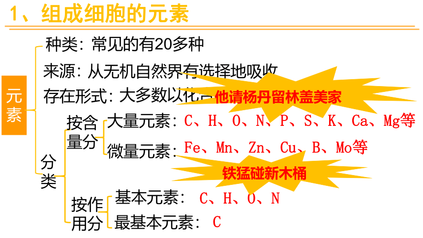 2021-2022学年高一上学期生物人教版（2019）必修一2.1细胞中的元素和化合物课件（共28张PPT）