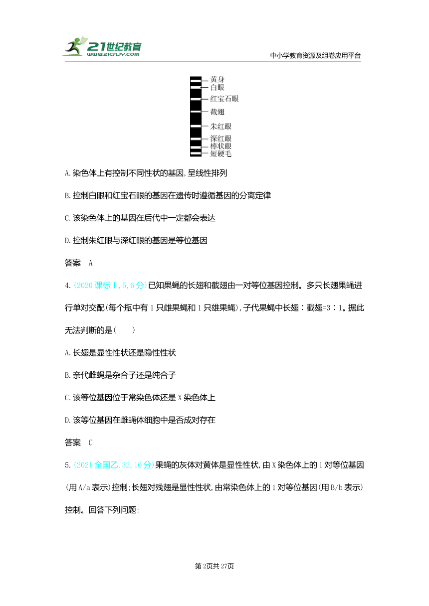 【新人教一轮复习—同步习题】专题13　伴性遗传与人类遗传病（Word版含答案）