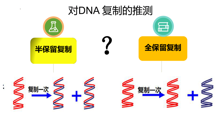 3.3DNA的复制 课件(共16张PPT) 2022-2023学年高一下学期生物人教版必修2