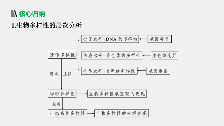 高中生物苏教版（2019）选择性必修2 第四章 第二节 创造人与自然的和谐（62张PPT）