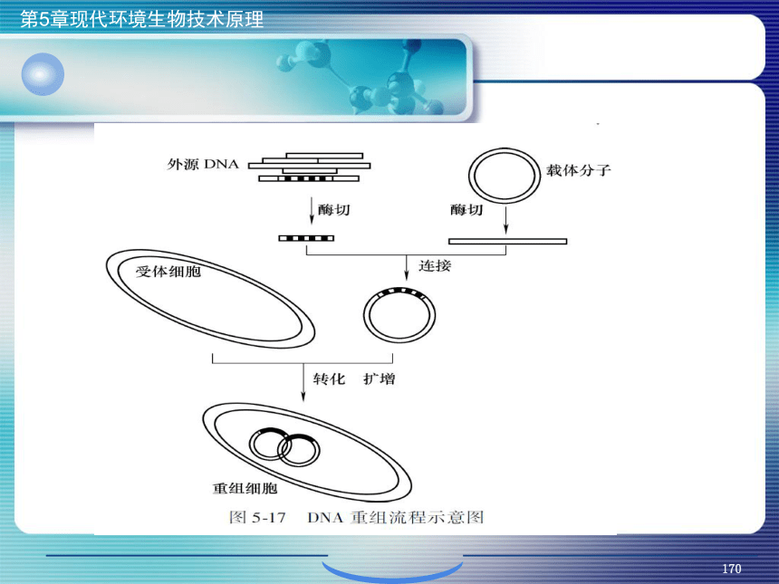 5.现代环境生物技术原理_6 课件(共27张PPT)- 《环境生物化学》同步教学（机工版·2020）