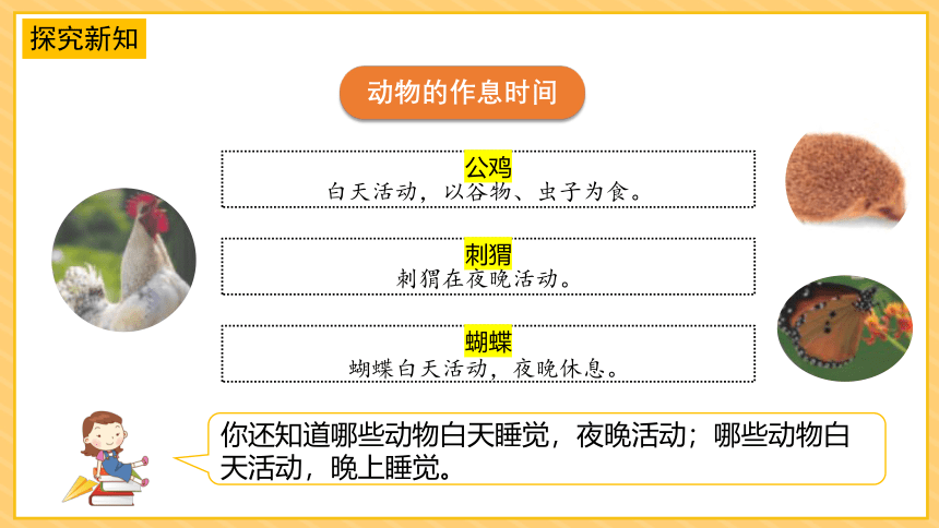 苏教版（2017秋） 五年级下册3.11《昼夜对动物的影响》课件（22张PPT)