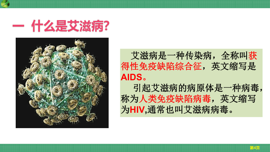 2.6.3 艾滋病的发生与流行（课件）七年级生物下册（冀教版）（共26张PPT）