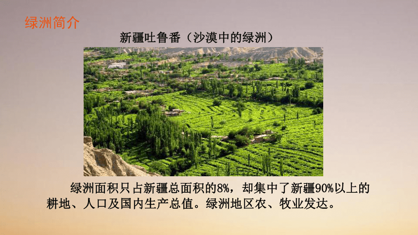 2020-2021学年人教版地理八年级下册8.2干旱的宝地——塔里木盆地课件（共31张PPT）