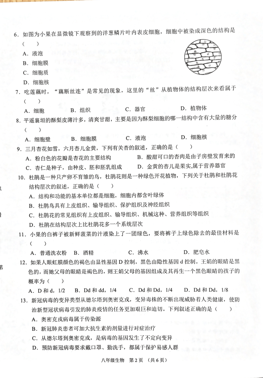 山西省平遥县2022-2023学年八年级下学期期中教学质量监测生物试题（PDF版无答案）