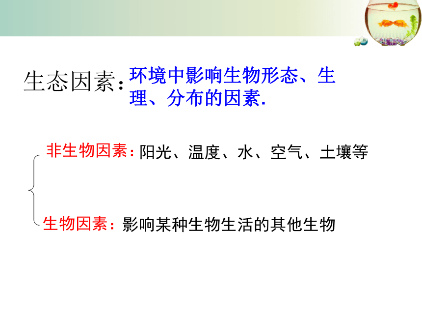 北师大版生物八年级下册8.23.1 生物的生存依赖一定环境 课件（21张PPT）