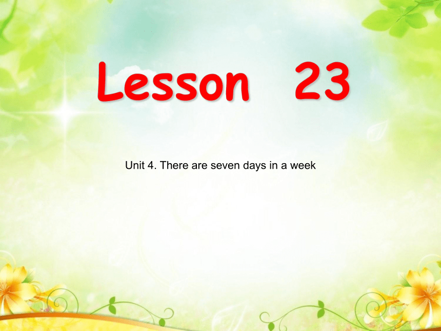 Unit4 There are seven days in a week   Lesson23 课件（14张PPT）