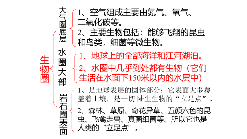 1.2.3 生物圈是最大的生态系统 课件(共24张PPT)2022-2023学年人教版生物七年级上册