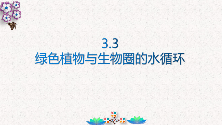 3.3 绿色植物与生物圈的水循环课件(共17张PPT)人教版七年级生物