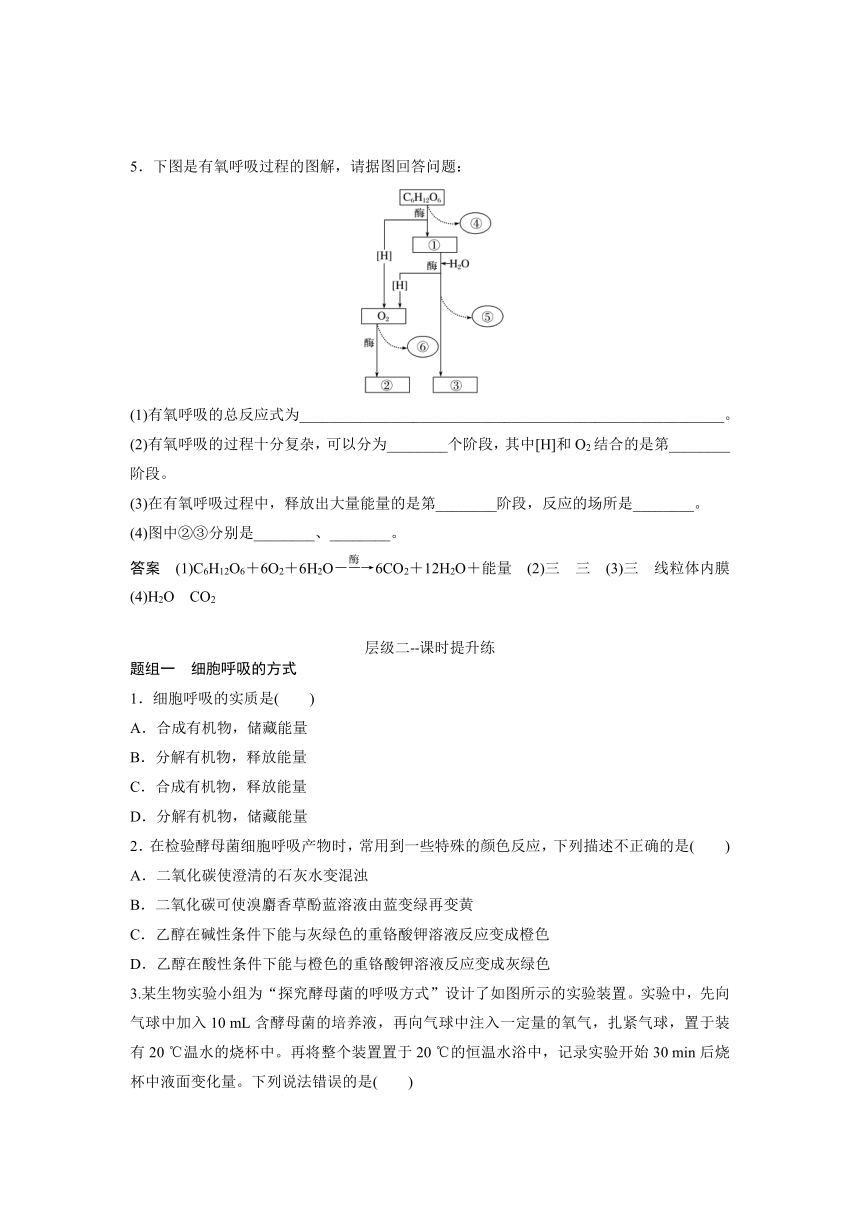 2020-2021学年高一生物人教版必修一------5.3细胞呼吸的方式和有氧呼吸分层训练（word版含答案）