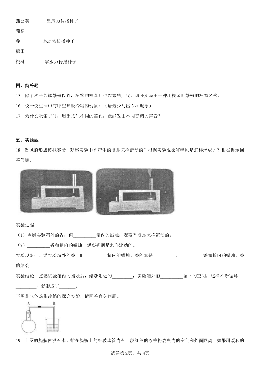 2022-2023学年人教鄂教版（2017秋） 四年级上册期末综合复习（一）（含答案）