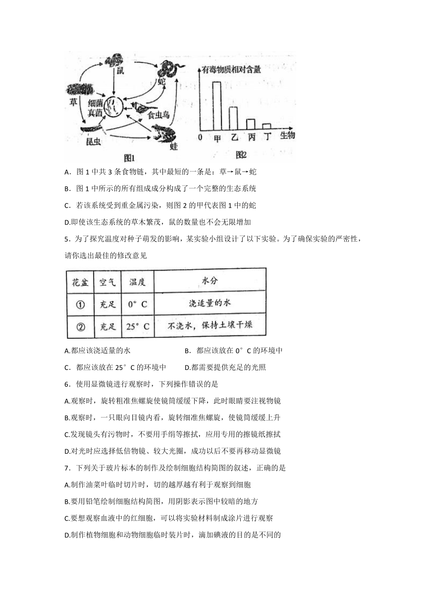 山东省泰安市肥城市（五四学制）实验中学2021-2022学年六年级上学期期末考试生物试题（word版含答案）