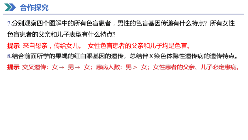 2.3 伴性遗传 课件(共40张PPT) 2023-2024学年高一生物人教版（2019）必修第二册