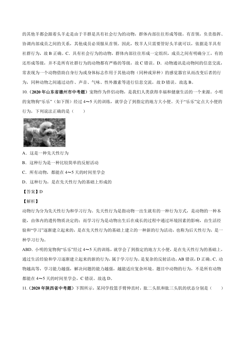 2020_2021学年中考生物真题汇编动物的运动和行为（PDF版含解析）