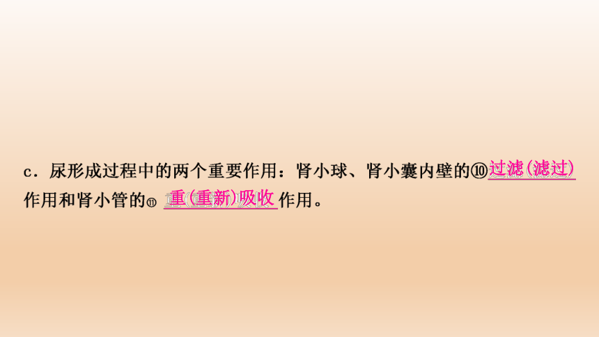 2023年中考生物复习专题★★人体代谢废物的排出.ppt(共27张PPT)