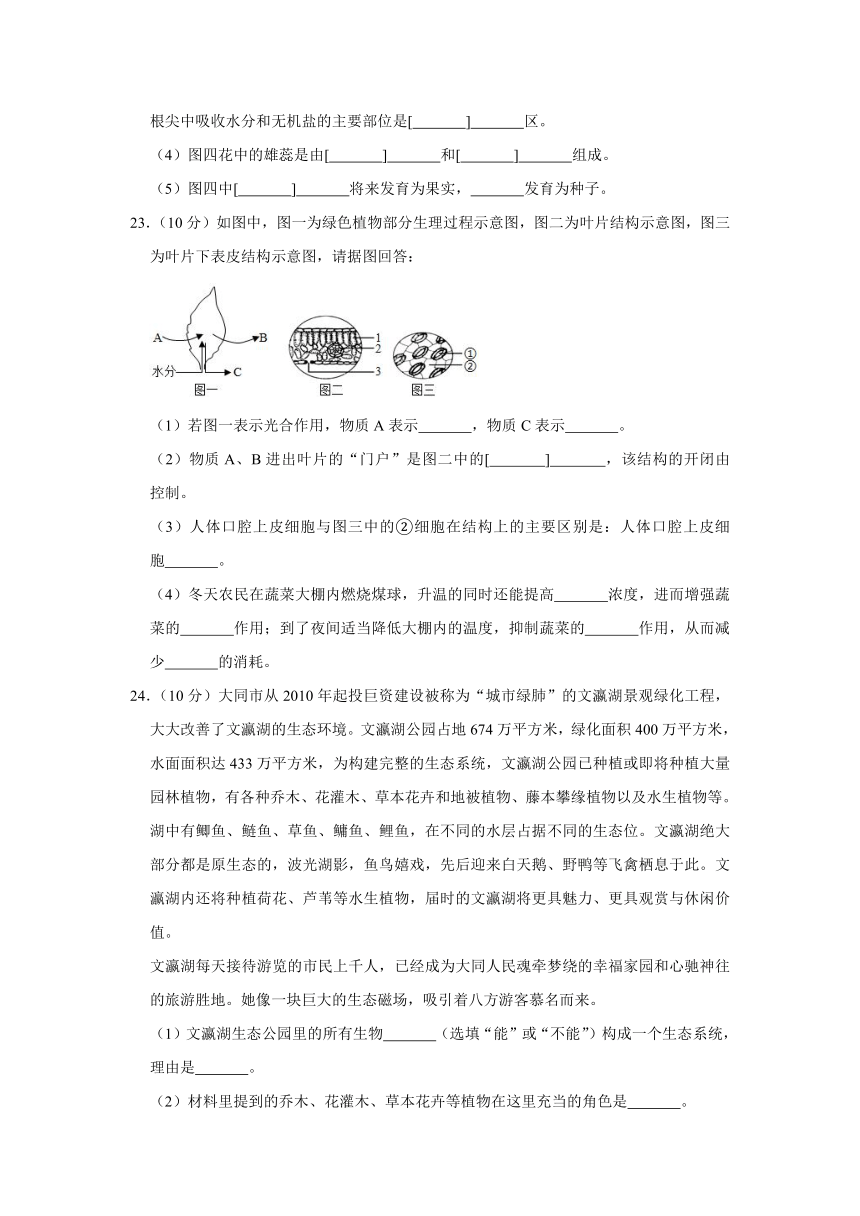 2020-2021学年山西省大同市七年级（上）期末生物试卷（word版含解析）