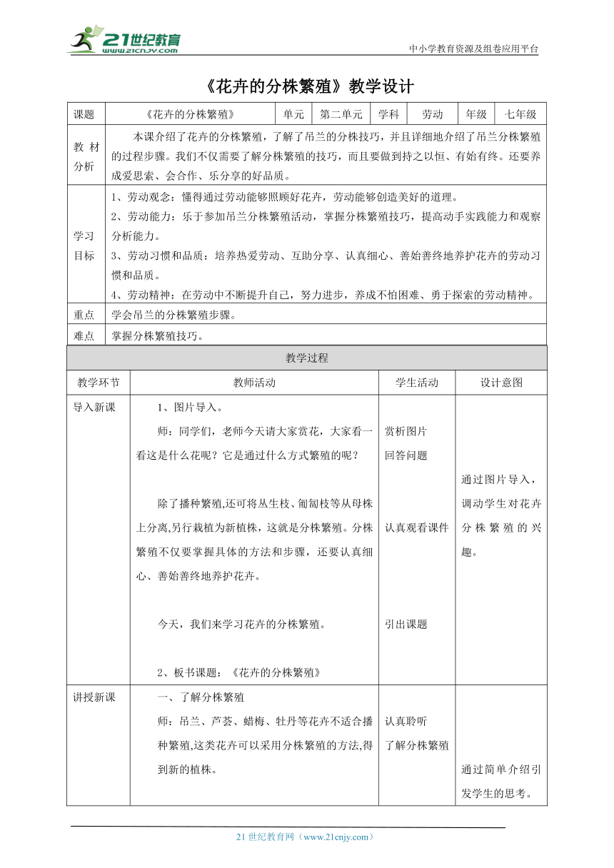 【核心素养目标】浙教版七下项目二任务二《花卉的分株繁殖》教案